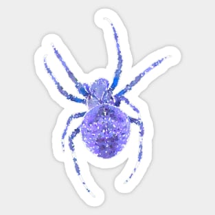 Blue Spider Orb-Weaver Watercolor Style Sticker